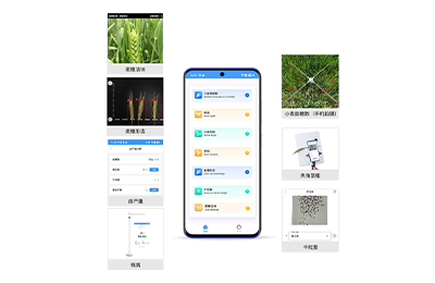 常州市小麦表型检测仪IN-XM04